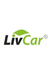 Моторное масло LivCar